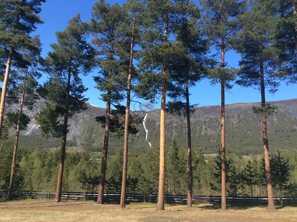 Furuly Camping Nordberg Exterior photo