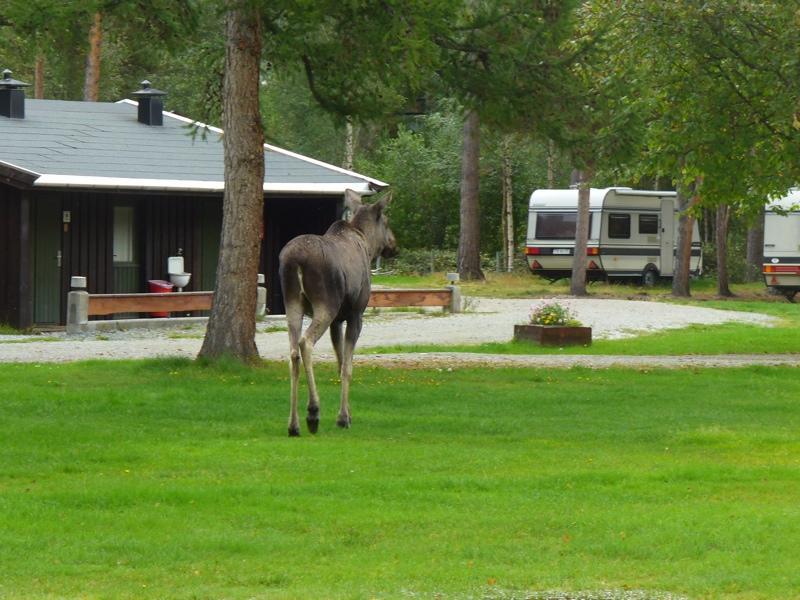 Furuly Camping Nordberg Exterior photo